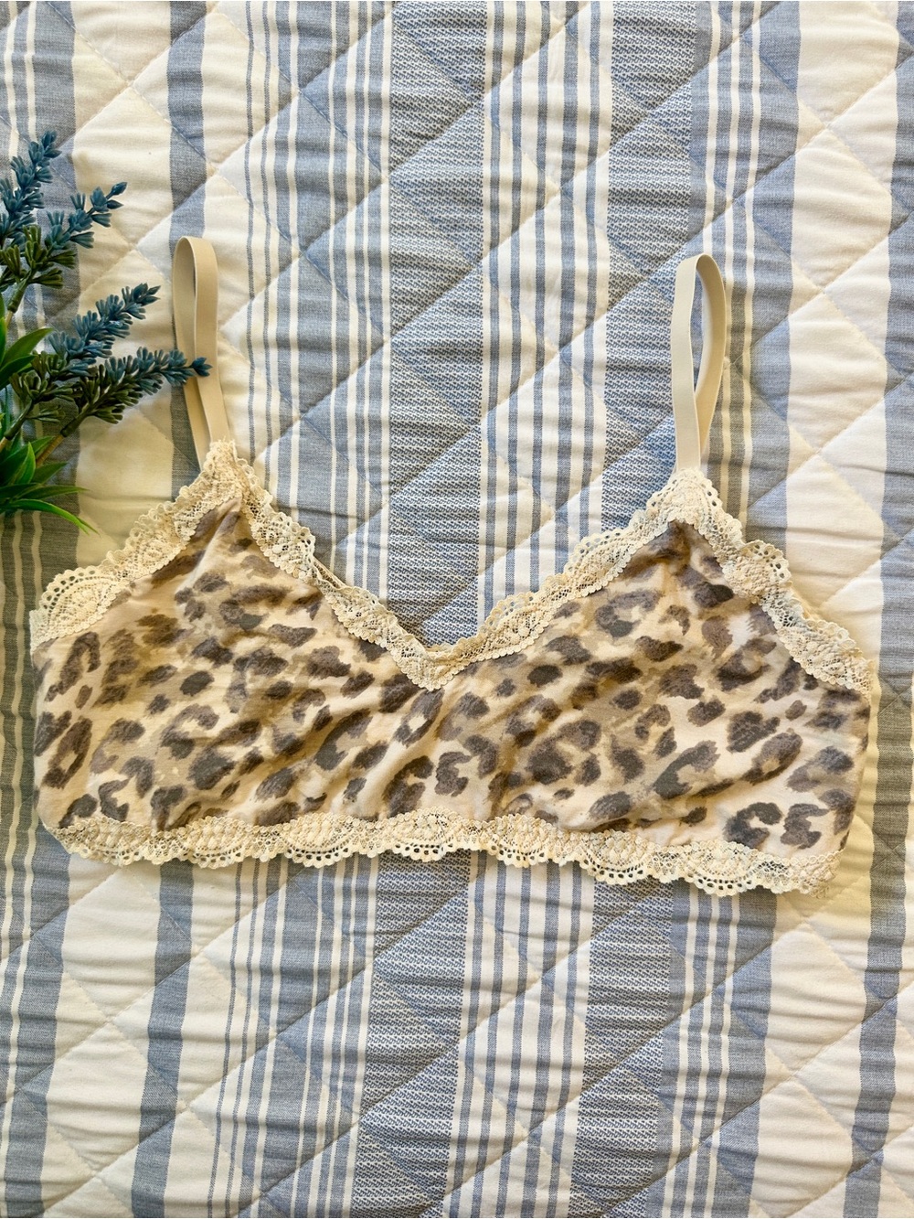 Aerie Superchill Leopard Print Lace Trim Bralette Size L/G